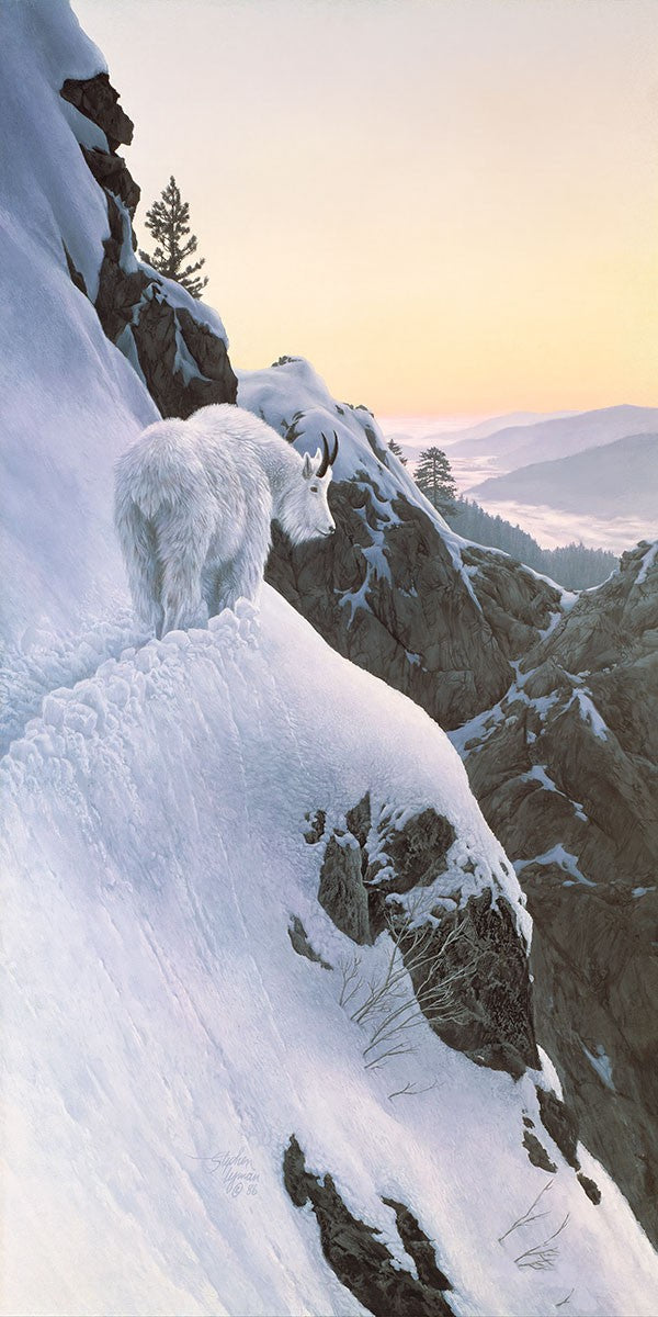 Snow-Covered Alpine Peaks