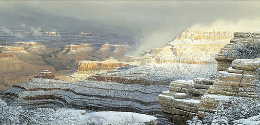 Winter Symphony