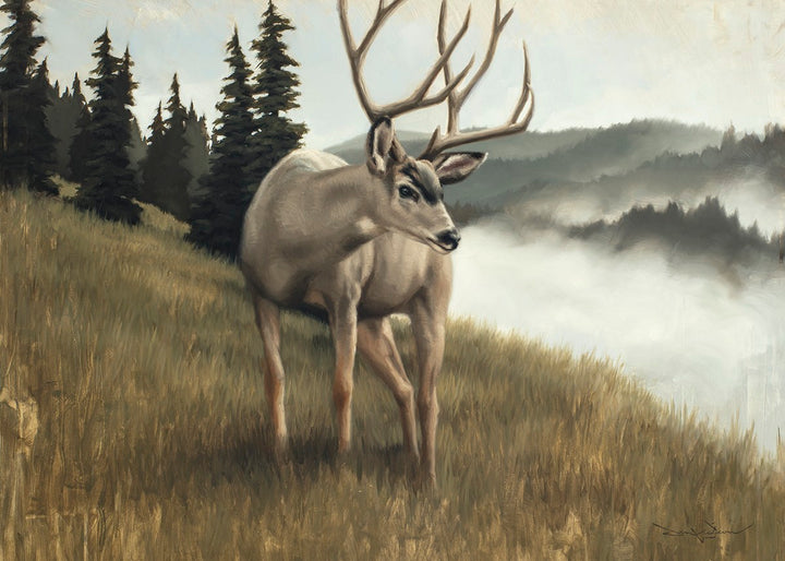Mountain Wildlife Landscapes