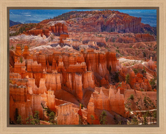 The Hoodoos of Bryce Canyon National Park, Utah