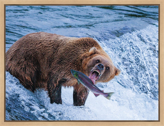 Catch of the Day