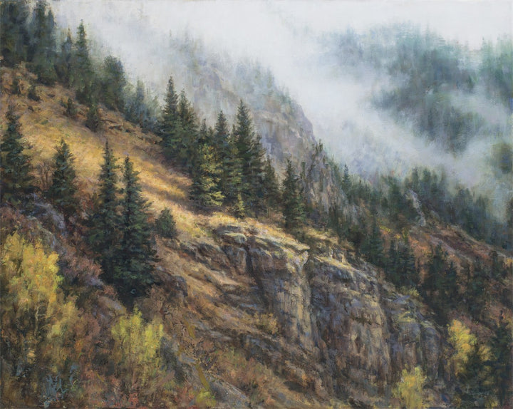 Forest and Valley Mountain Scenes