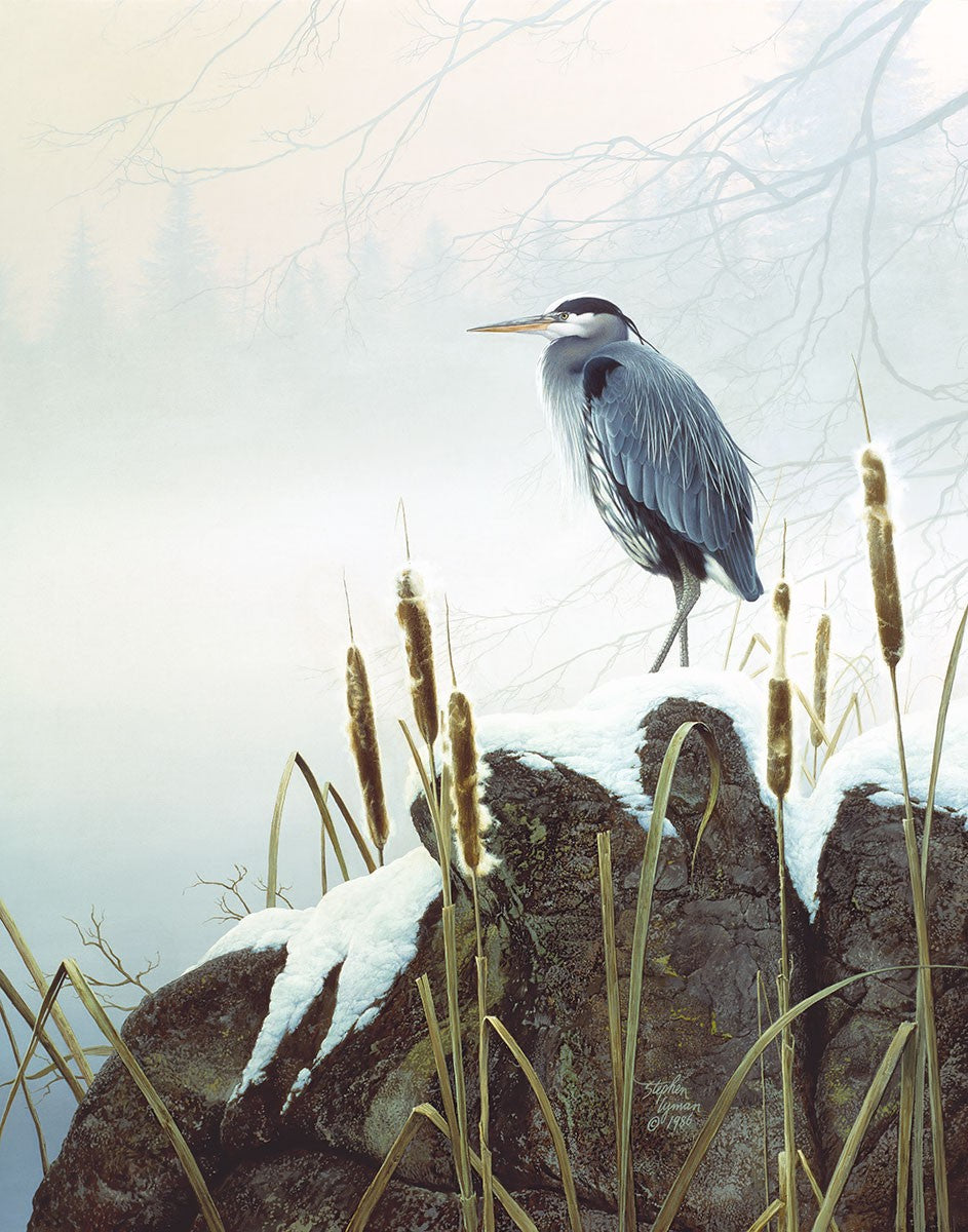 "Morning Solitude"