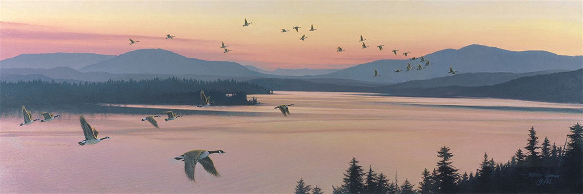 Sounds of Sunset