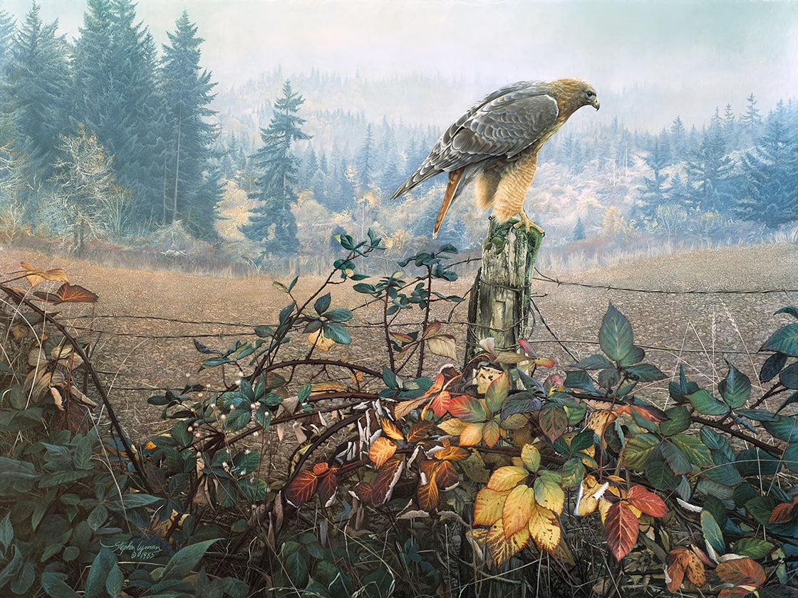 "The Raptor's Watch"