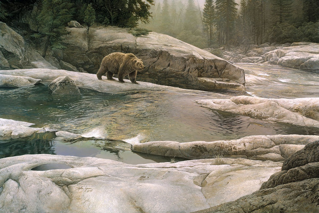 "Uzumati - Great Bear of Yosemite"